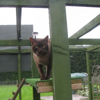 bandit_may_21_2011_small