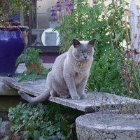 frejya_jan_2008_small