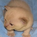img_00_thumb