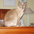 rosie_age_1_rs_thumb